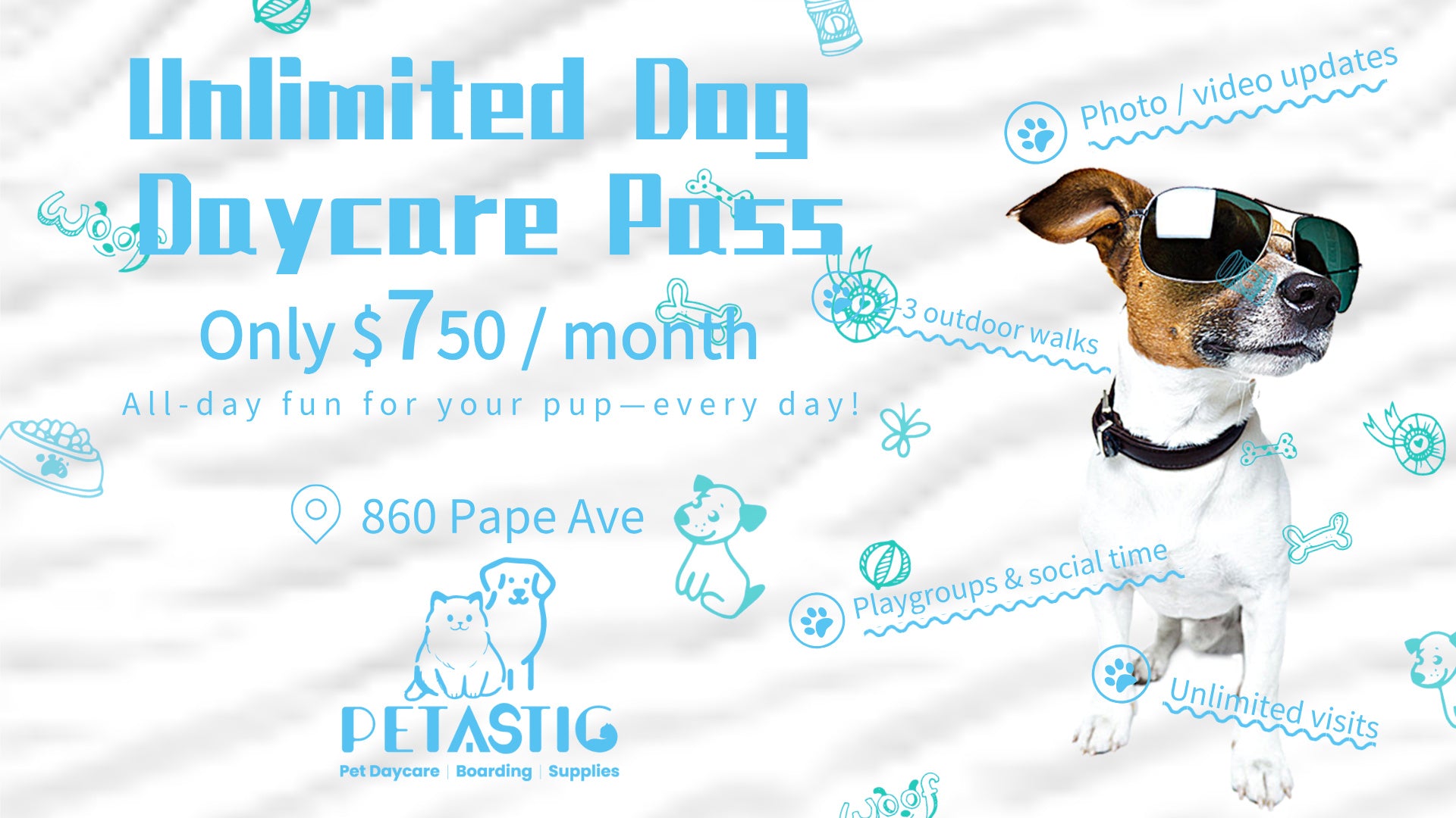 Petastic Daycare & Boarding(Dog&Cat) listing photo